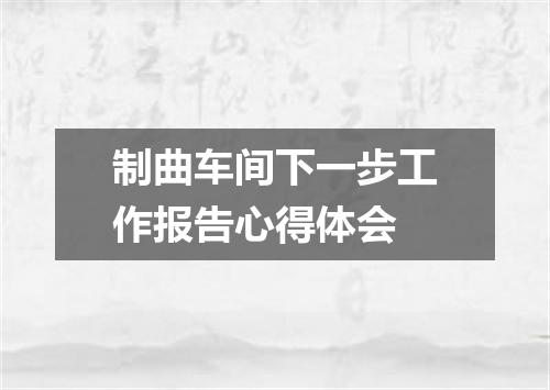 制曲车间下一步工作报告心得体会