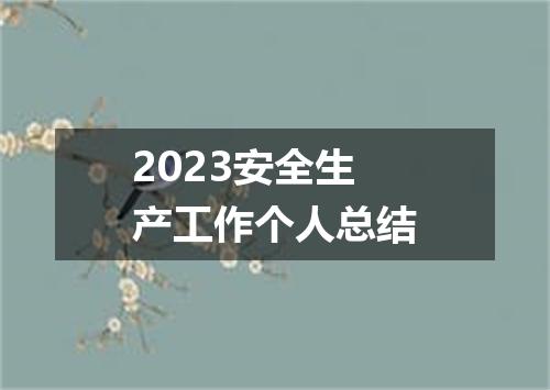 2023安全生产工作个人总结