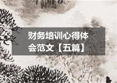 财务培训心得体会范文【五篇】