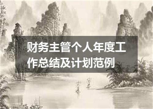 财务主管个人年度工作总结及计划范例