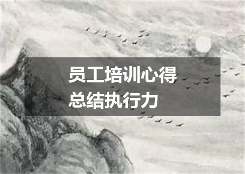 员工培训心得总结执行力