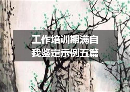 工作培训期满自我鉴定示例五篇