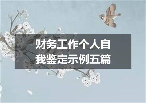 财务工作个人自我鉴定示例五篇