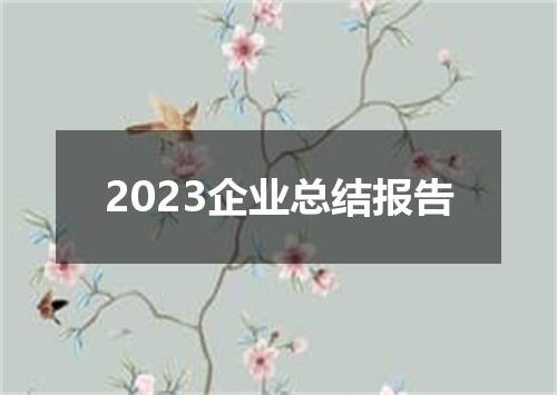 2023企业总结报告