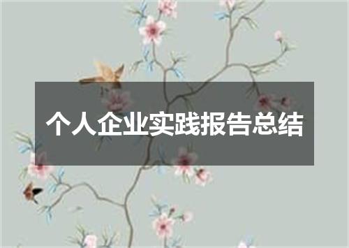 个人企业实践报告总结