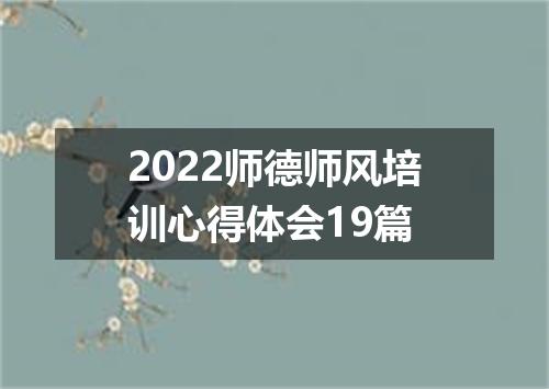 2022师德师风培训心得体会19篇