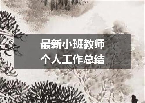 最新小班教师个人工作总结
