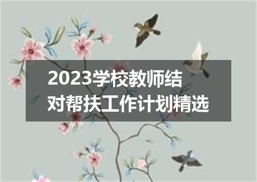 2023学校教师结对帮扶工作计划精选