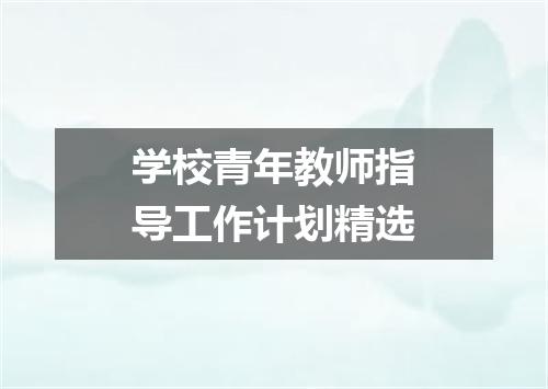 学校青年教师指导工作计划精选
