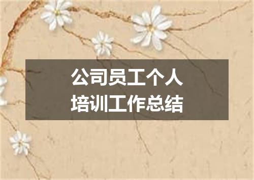 公司员工个人培训工作总结