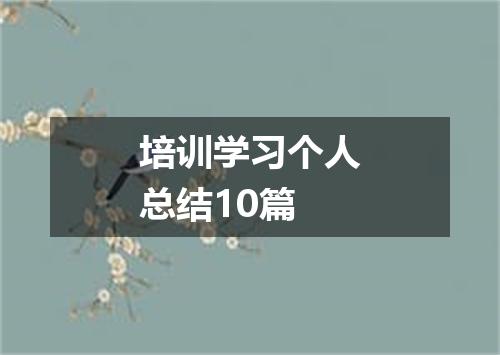 培训学习个人总结10篇