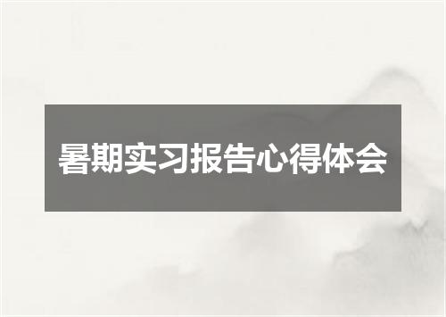 暑期实习报告心得体会