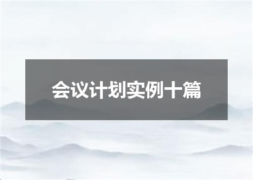 会议计划实例十篇