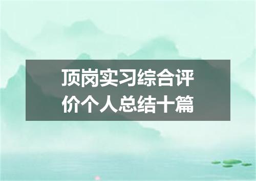 顶岗实习综合评价个人总结十篇