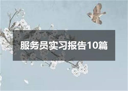 服务员实习报告10篇