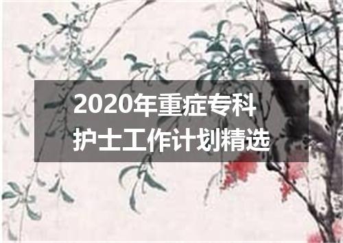 2020年重症专科护士工作计划精选