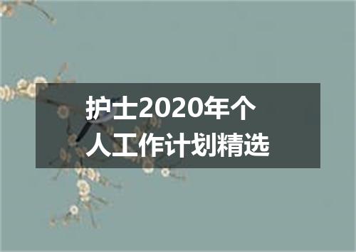 护士2020年个人工作计划精选