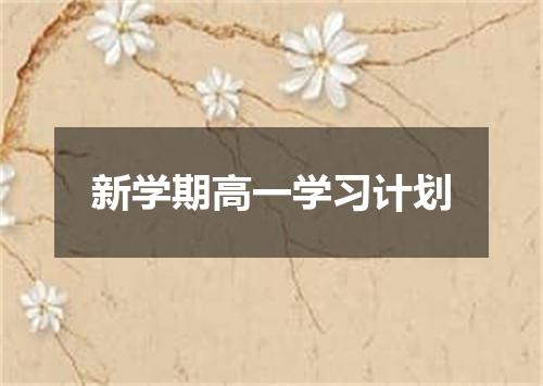 新学期高一学习计划