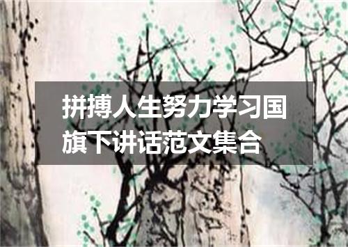 拼搏人生努力学习国旗下讲话范文集合