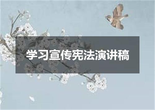 学习宣传宪法演讲稿