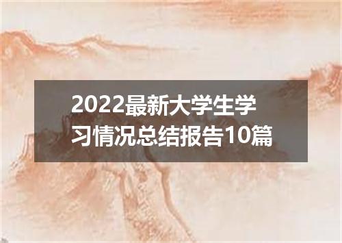 2022最新大学生学习情况总结报告10篇