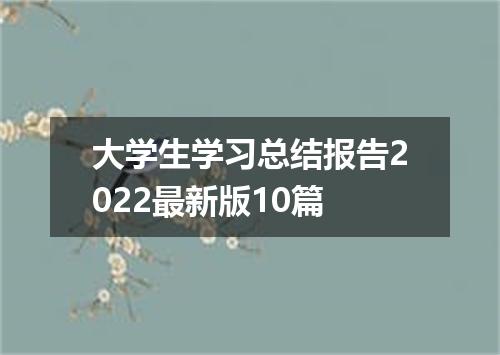 大学生学习总结报告2022最新版10篇