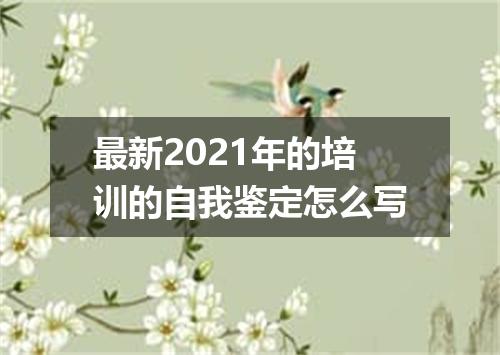 最新2021年的培训的自我鉴定怎么写