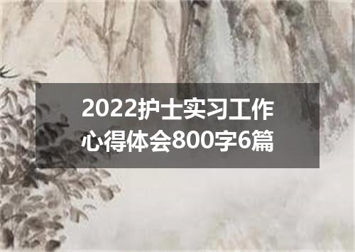 2022护士实习工作心得体会800字6篇