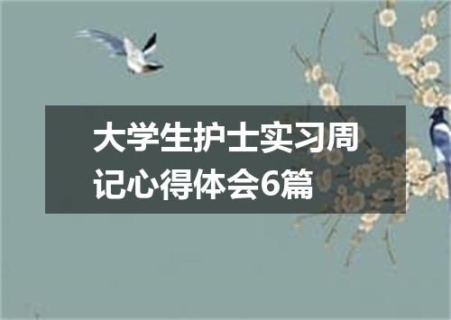 大学生护士实习周记心得体会6篇