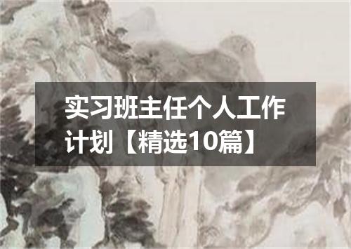 实习班主任个人工作计划【精选10篇】