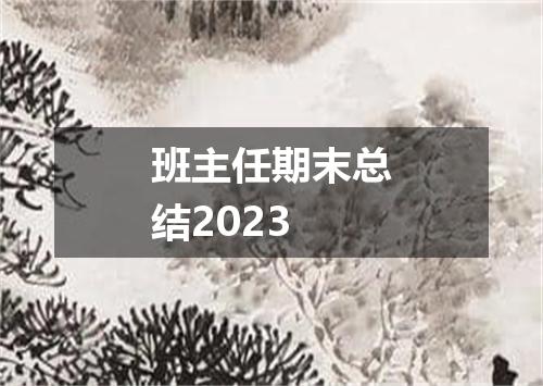 班主任期末总结2023