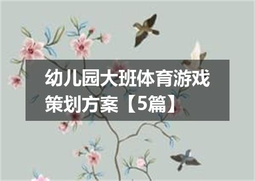 幼儿园大班体育游戏策划方案【5篇】