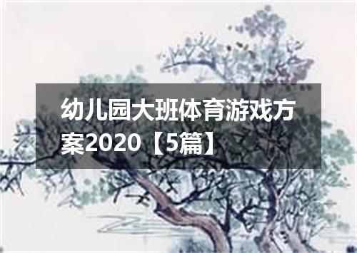 幼儿园大班体育游戏方案2020【5篇】