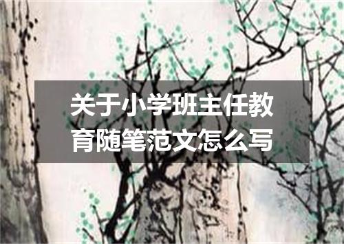 关于小学班主任教育随笔范文怎么写