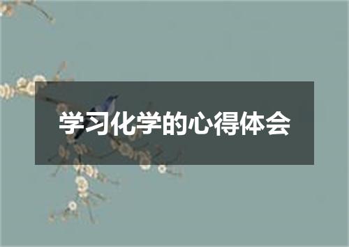 学习化学的心得体会