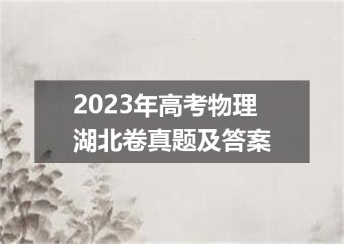 2023年高考物理湖北卷真题及答案
