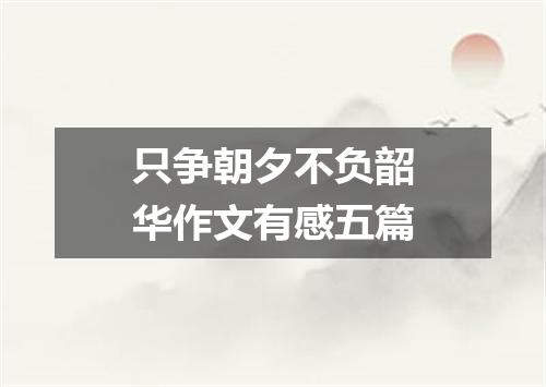 只争朝夕不负韶华作文有感五篇