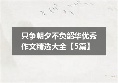 只争朝夕不负韶华优秀作文精选大全【5篇】