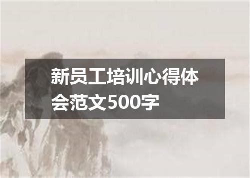 新员工培训心得体会范文500字