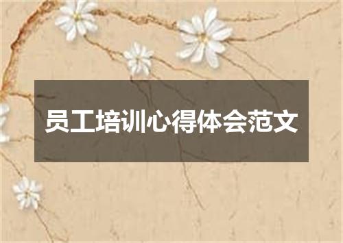 员工培训心得体会范文