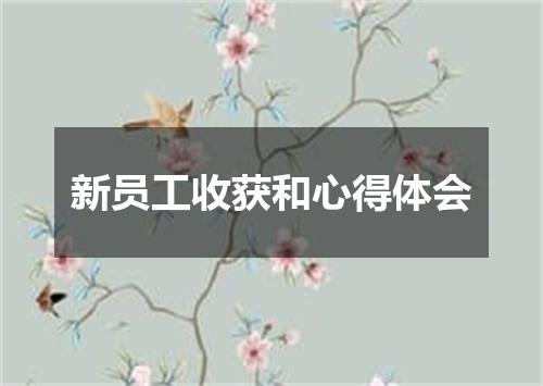 新员工收获和心得体会