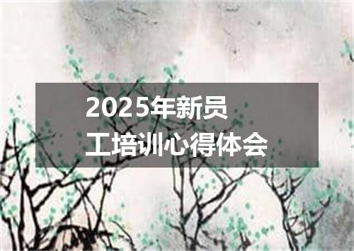 2025年新员工培训心得体会