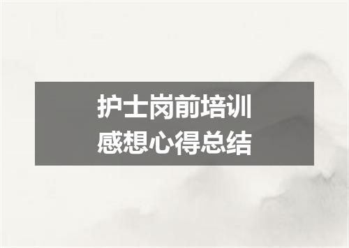 护士岗前培训感想心得总结