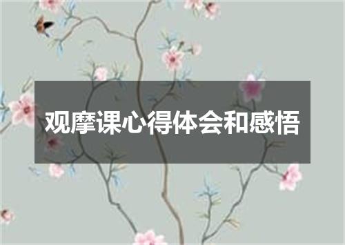 观摩课心得体会和感悟