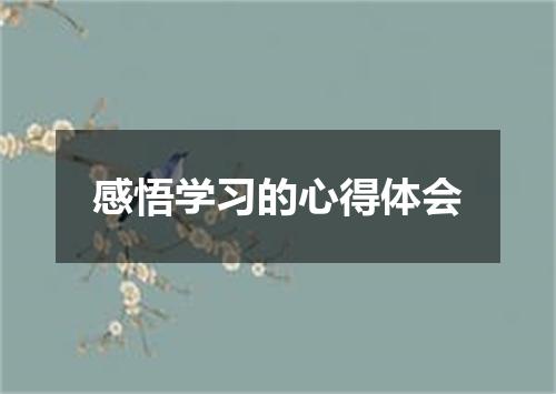 感悟学习的心得体会