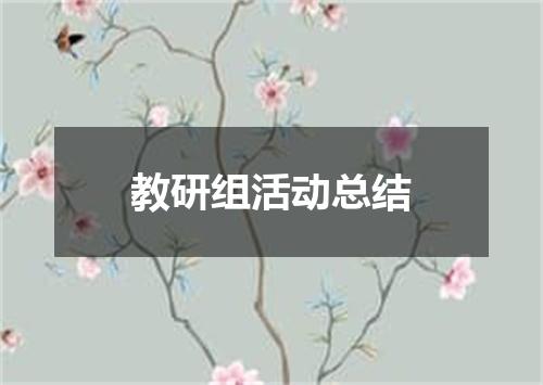 教研组活动总结