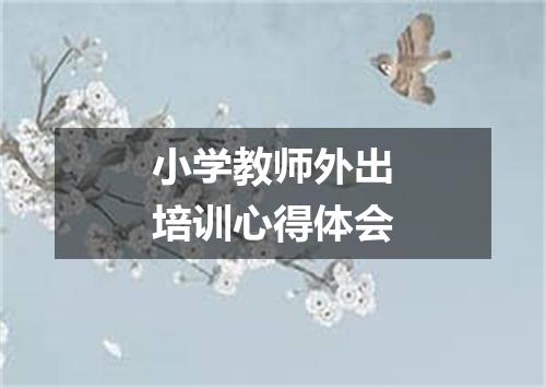 小学教师外出培训心得体会