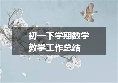 初一下学期数学教学工作总结