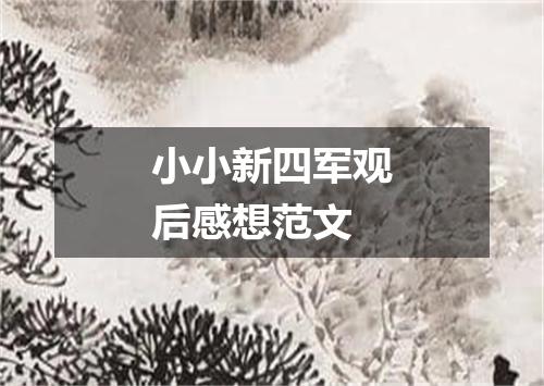 小小新四军观后感想范文