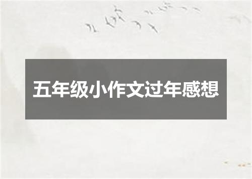 五年级小作文过年感想